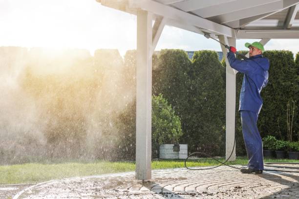 Best Parking Lot Cleaning in Woodville, AL