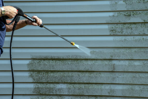 Best Graffiti Removal Services in Woodville, AL
